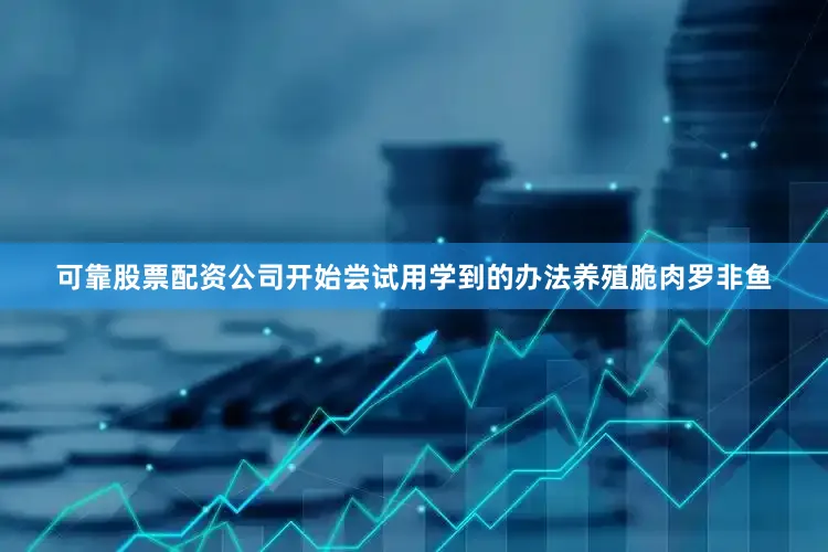 可靠股票配资公司开始尝试用学到的办法养殖脆肉罗非鱼
