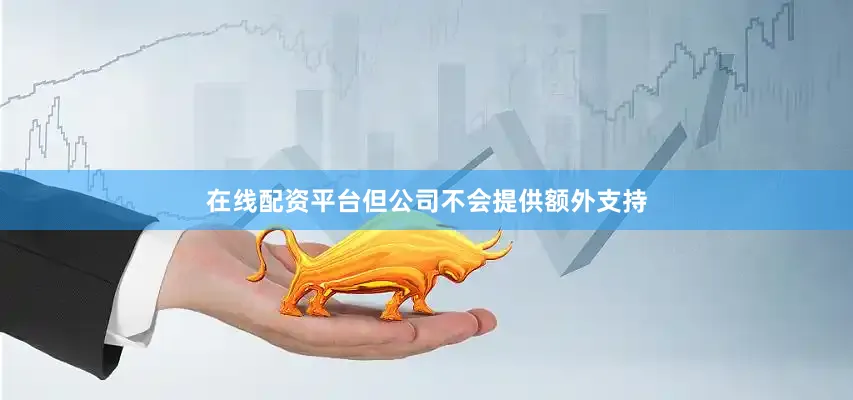 在线配资平台但公司不会提供额外支持