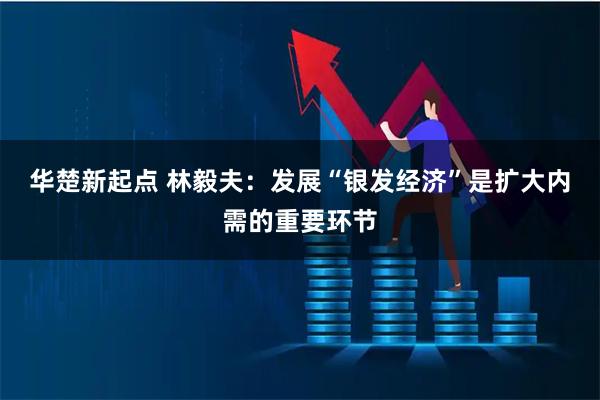 华楚新起点 林毅夫：发展“银发经济”是扩大内需的重要环节