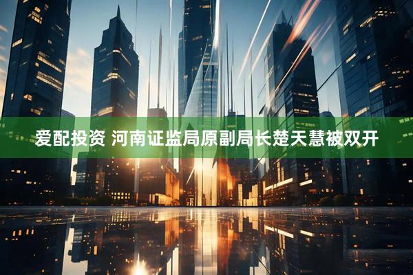爱配投资 河南证监局原副局长楚天慧被双开