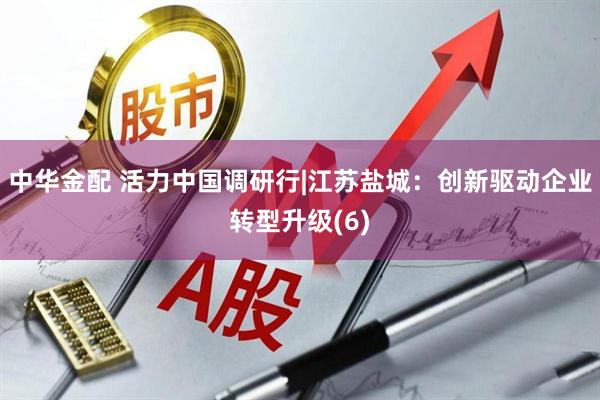 中华金配 活力中国调研行|江苏盐城：创新驱动企业转型升级(6)